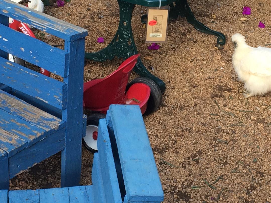 Die Plaashuiswinkel-Heidelberg必去景点