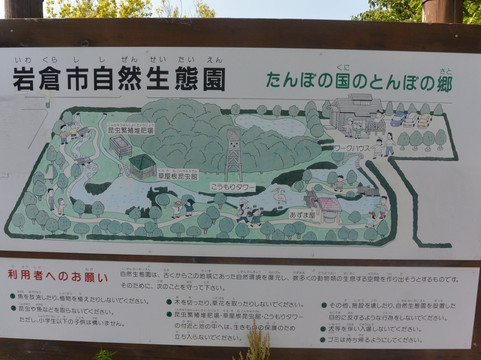 Iwakura Natural Ecology Park-岩仓市必去景点