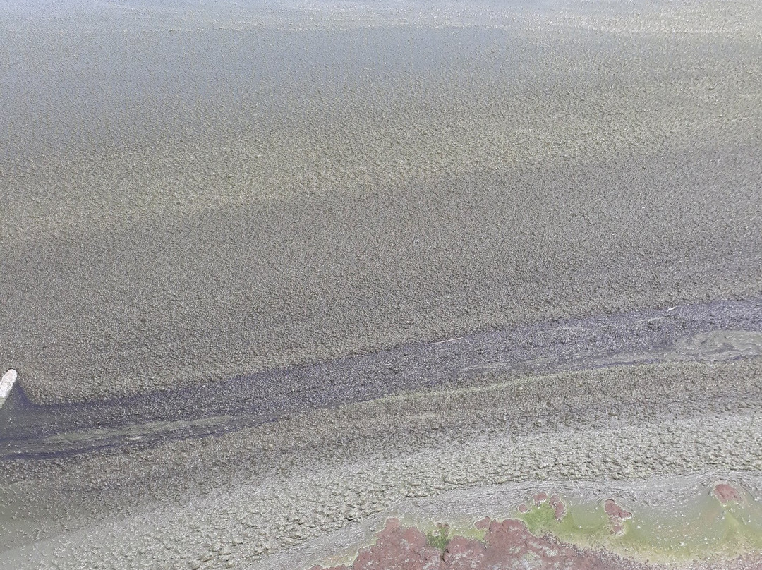 Sirville Lake Elementaita Lodge主图