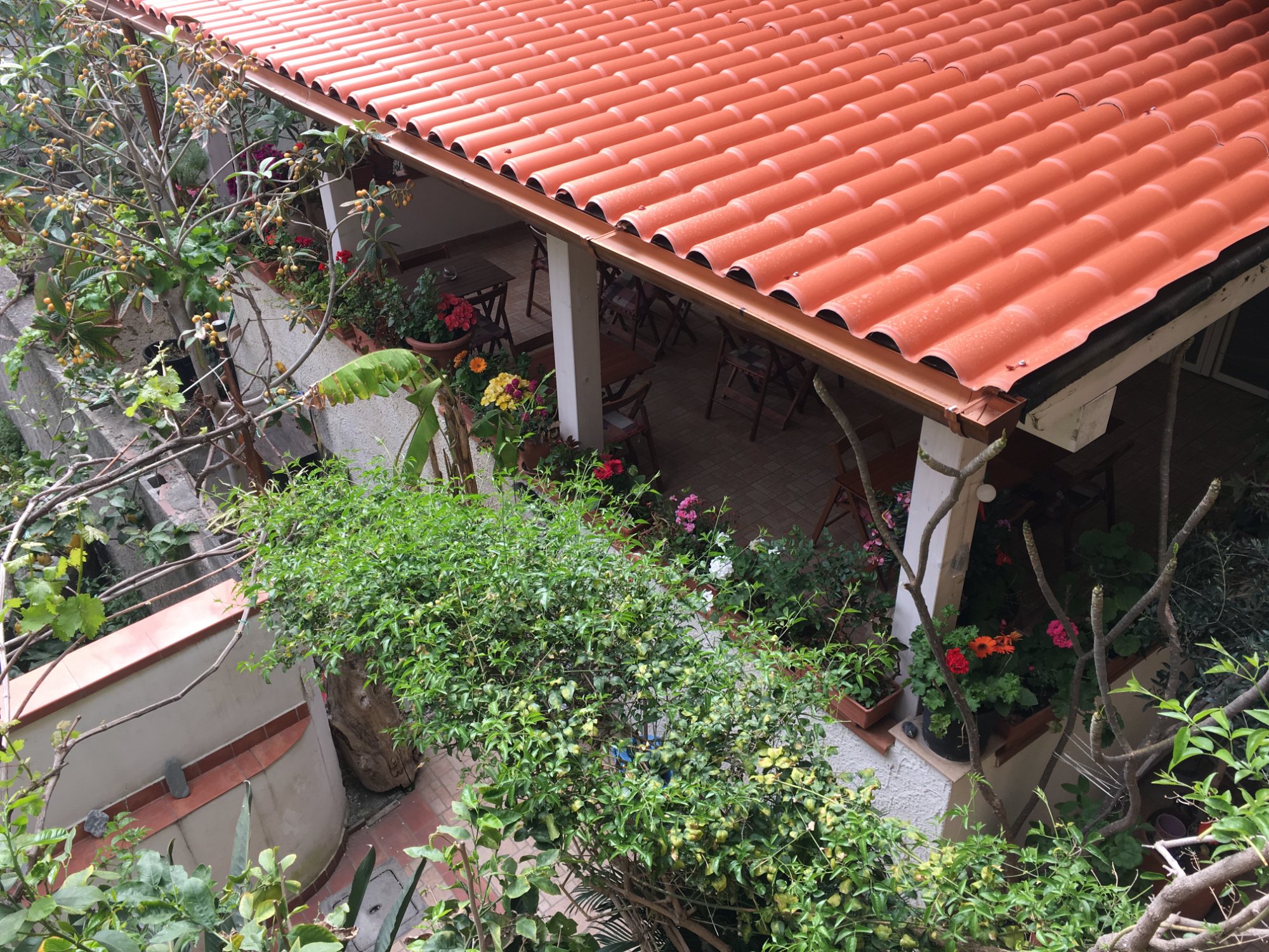 Hotel Donna Rosa-餐饮
