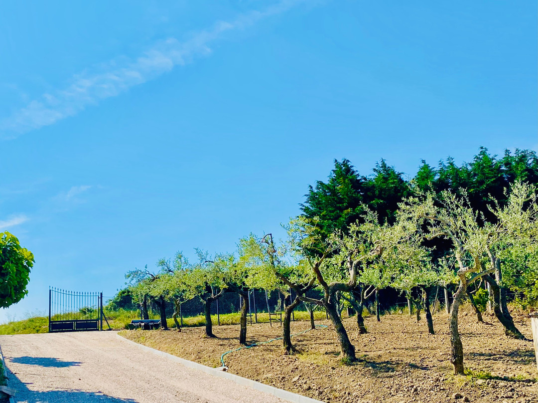 Agriturismo Il Borgo