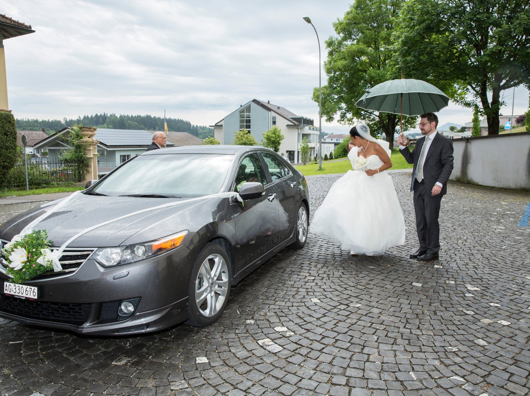 Swiss Insider Tours-Wohlen必去景点