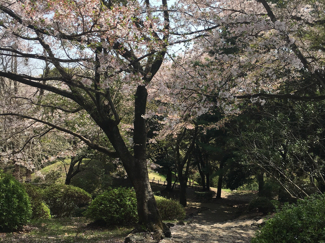 Hiromi Park景点图片