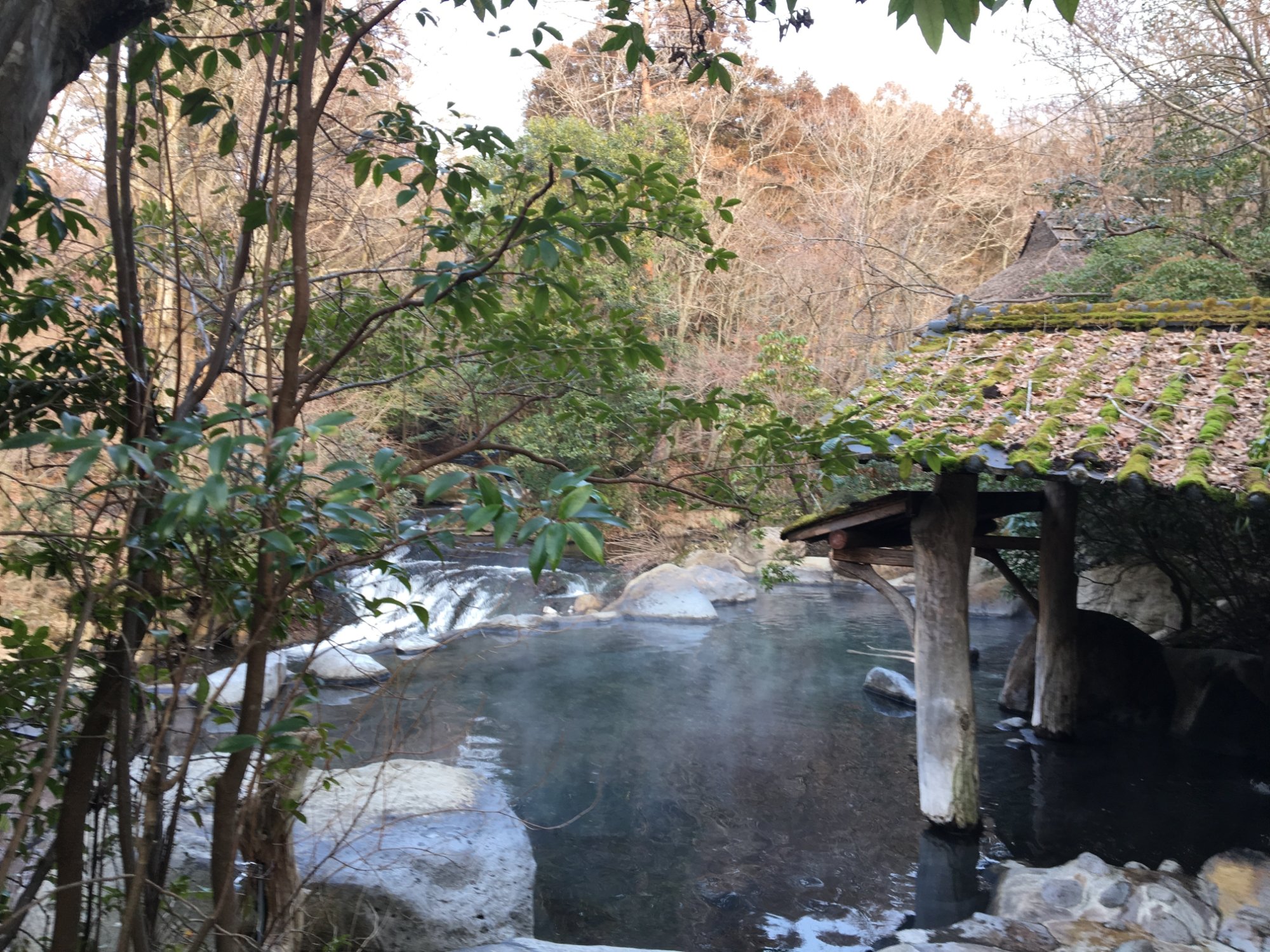 山水木日式旅馆-泳池