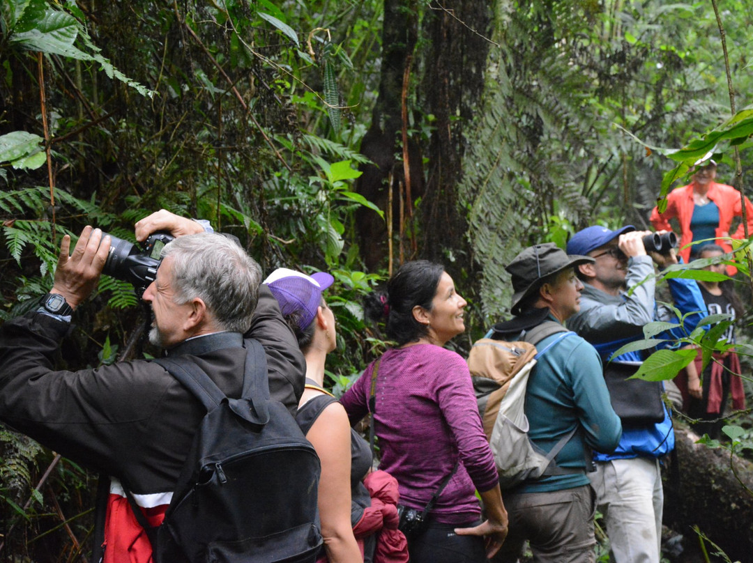Parque Natural Los Tunos-San Antonio del Tequendama必去景点