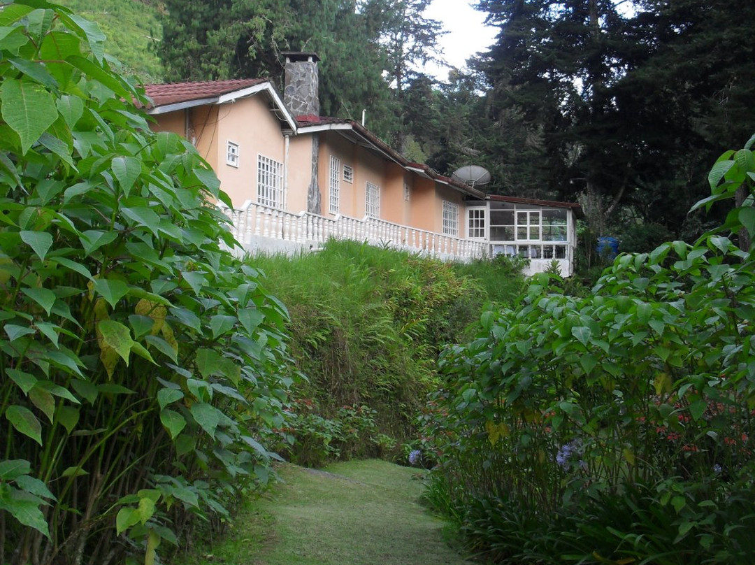 Las Orquideas Bed & Breakfast主图