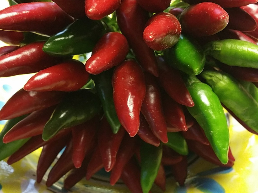 Locanda Spirito Divino主图