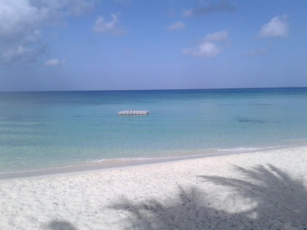 Tours by Taxi Cozumel-考祖梅必去景点