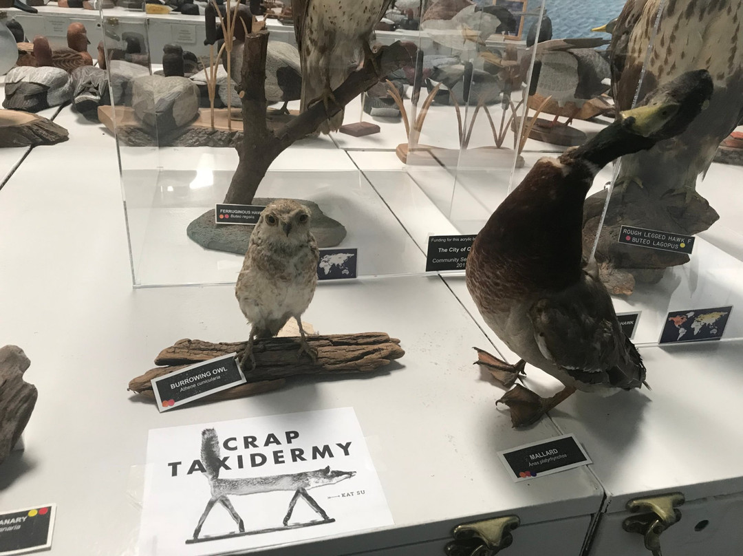 The Western Foundation of Vertebrate Zoology-卡马里奥必去景点