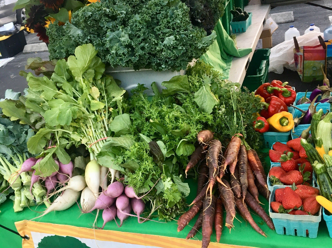 Bonita Springs Farmers Market景点图片