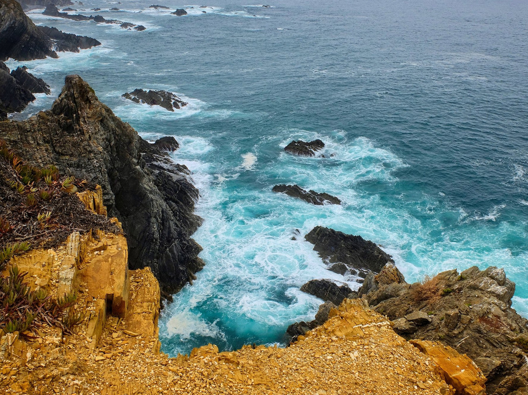 Cabo Sardão景点图片