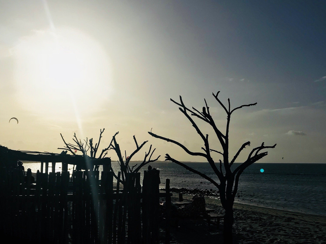 Cajueiro Da Praia Beach景点图片