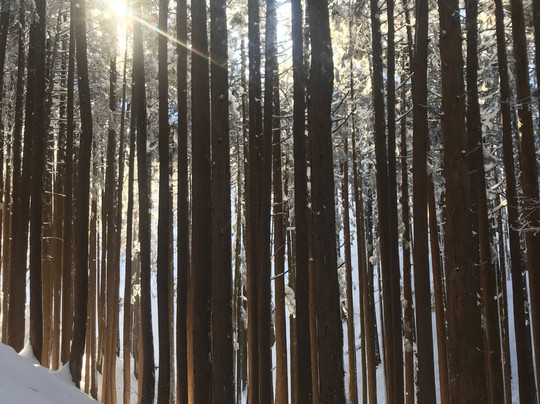 Mt. Watamuki-日野町必去景点