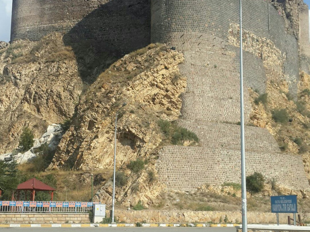 Oltu Kalesi