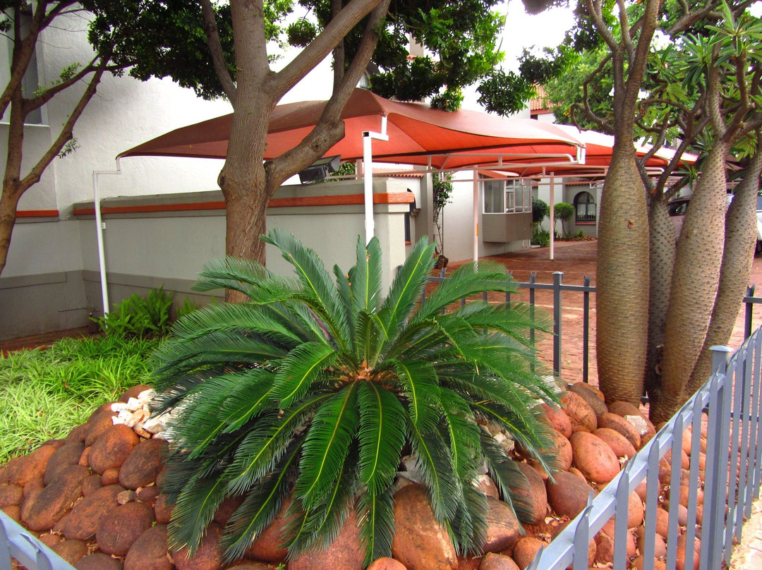 Lonely Oak Hotel主图