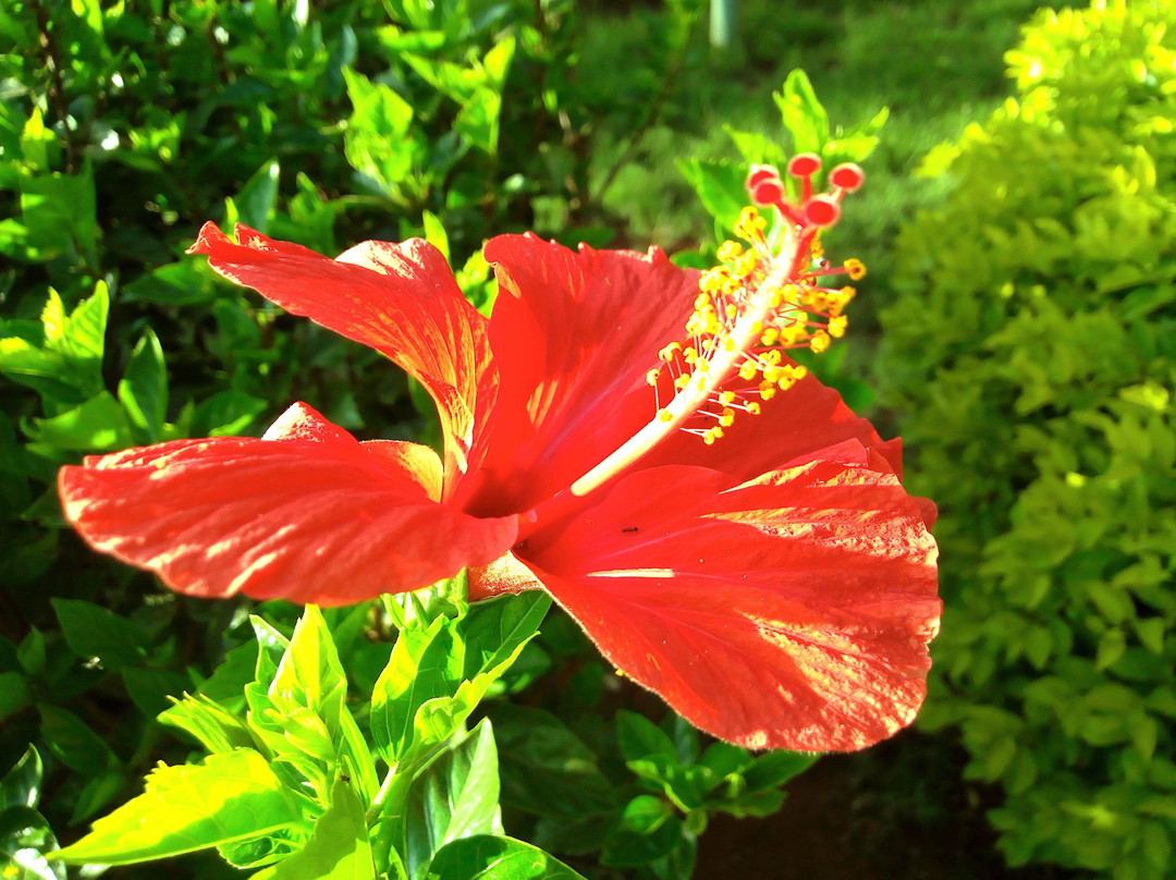 Green Hills Lodge主图