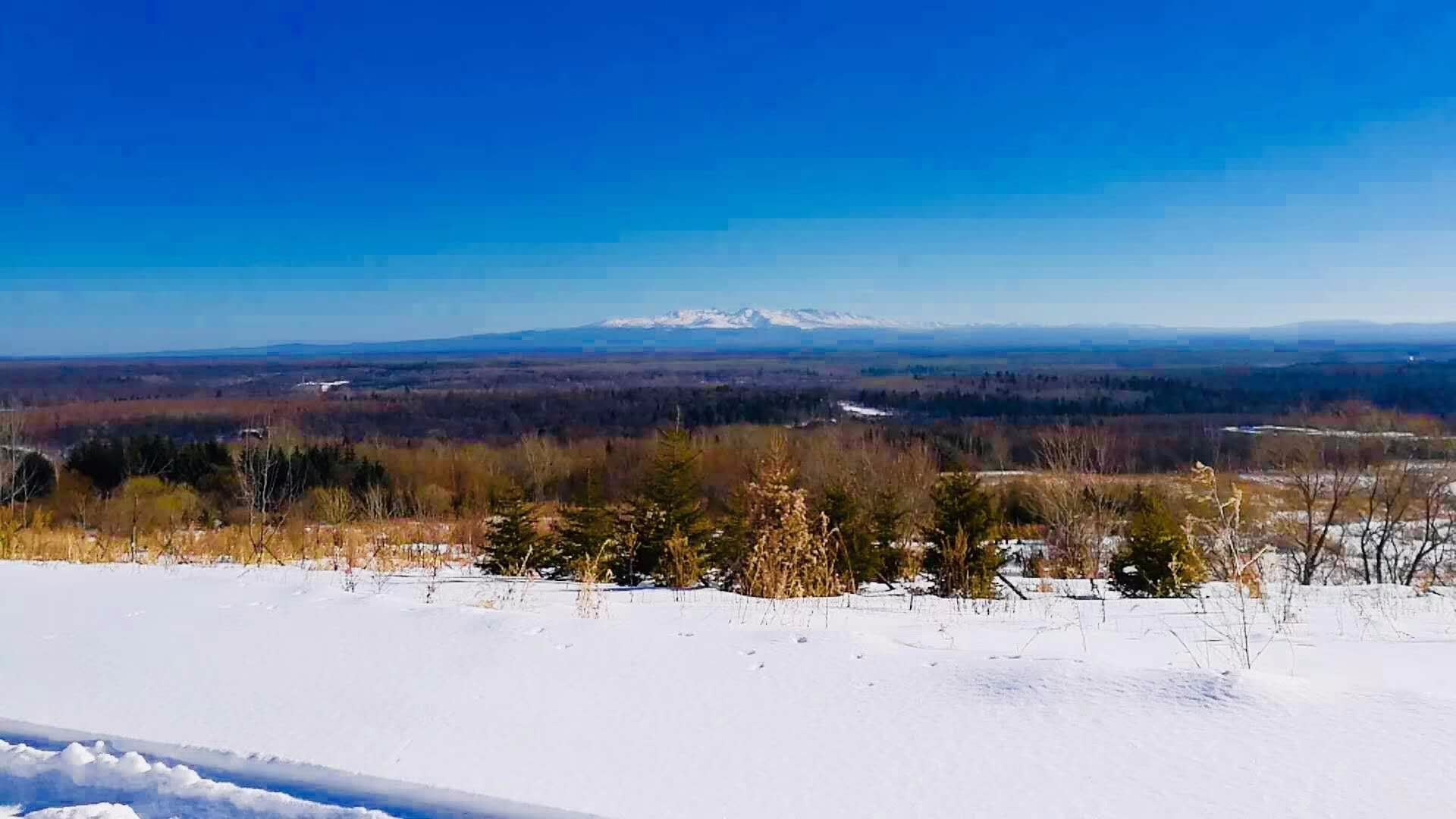 长白山鲁能胜地瑞士酒店度假村-酒店景观