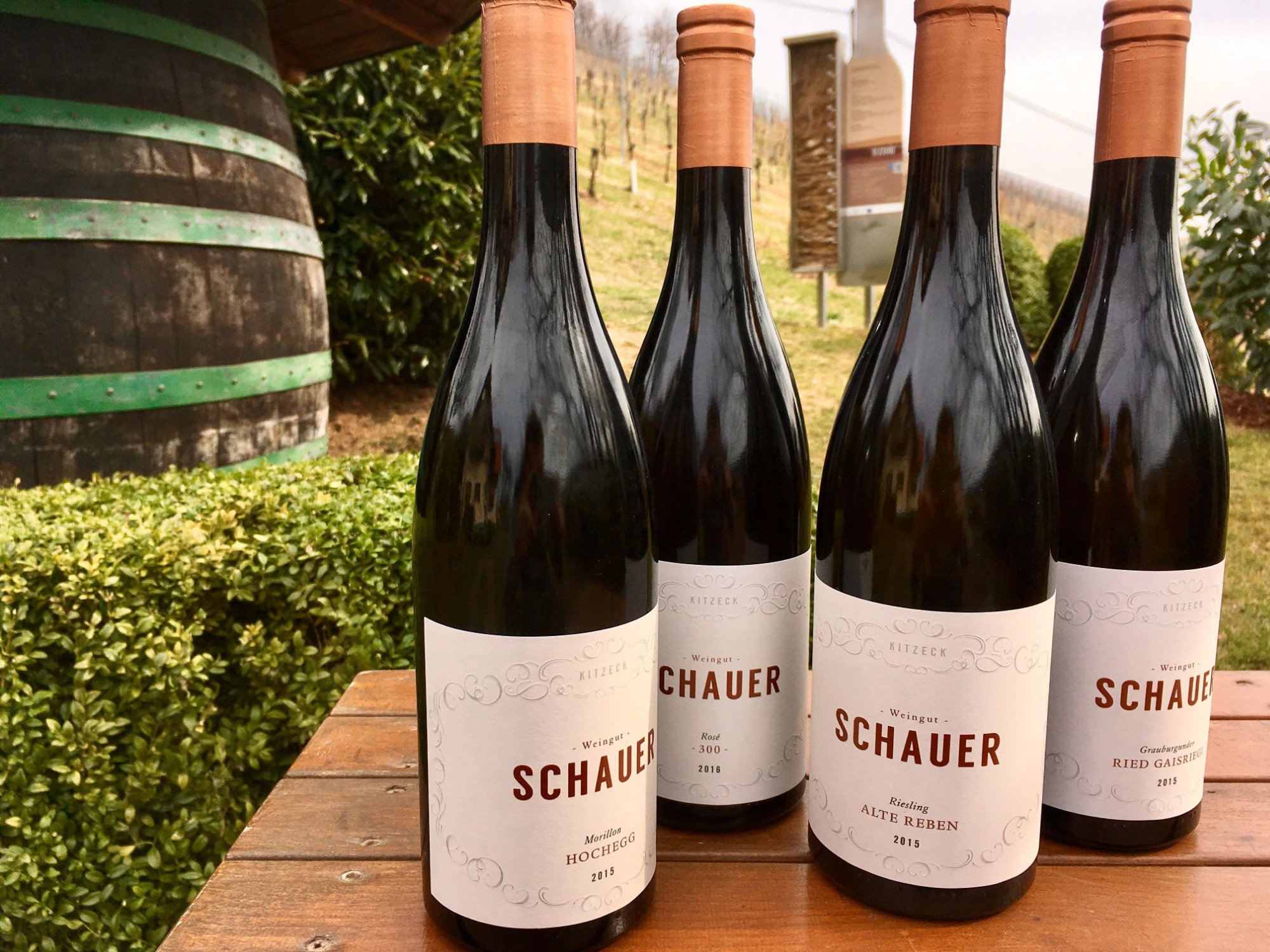 Weingut SCHAUER-官方