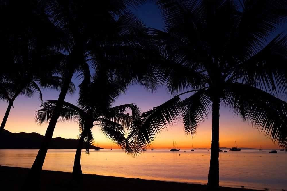 Horseshoe Bay餐馆和美食-Noodies On The Beach