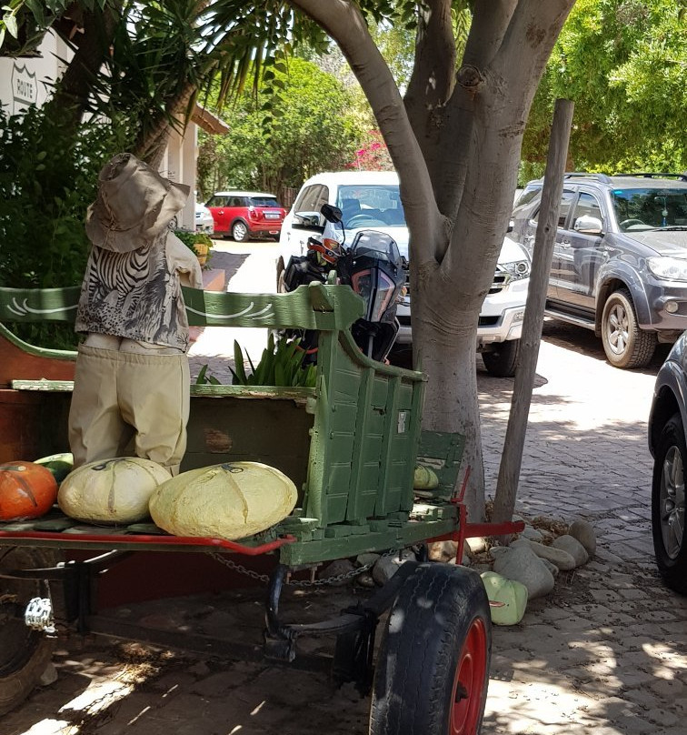 Montagu Dried Fruit & Nuts-蒙提古必去景点