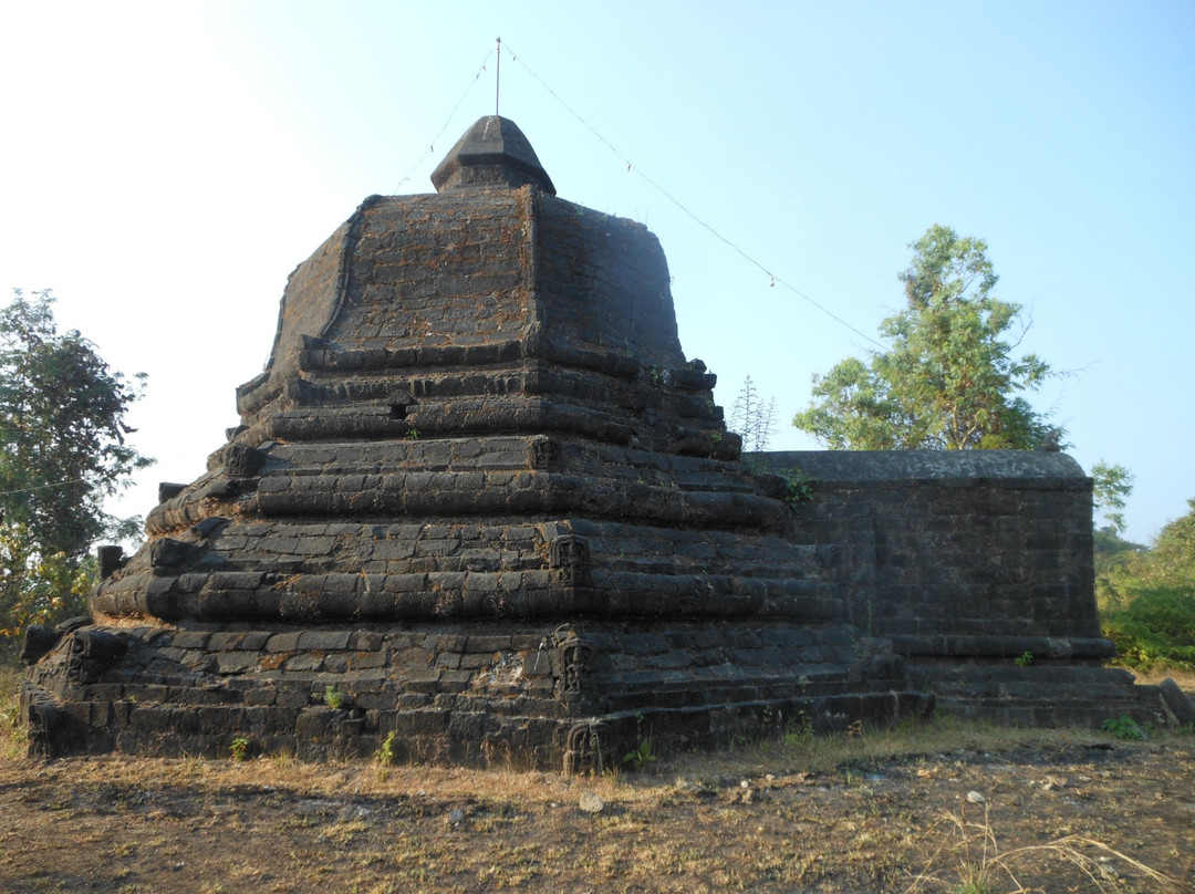 Mahabodi Shwegu