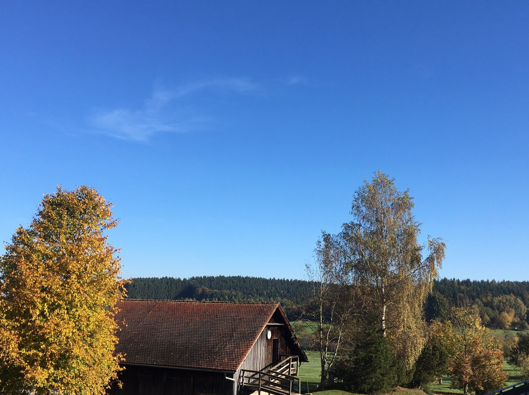 Gutenzell餐馆和美食-Der Steirer kocht am Reischenhof