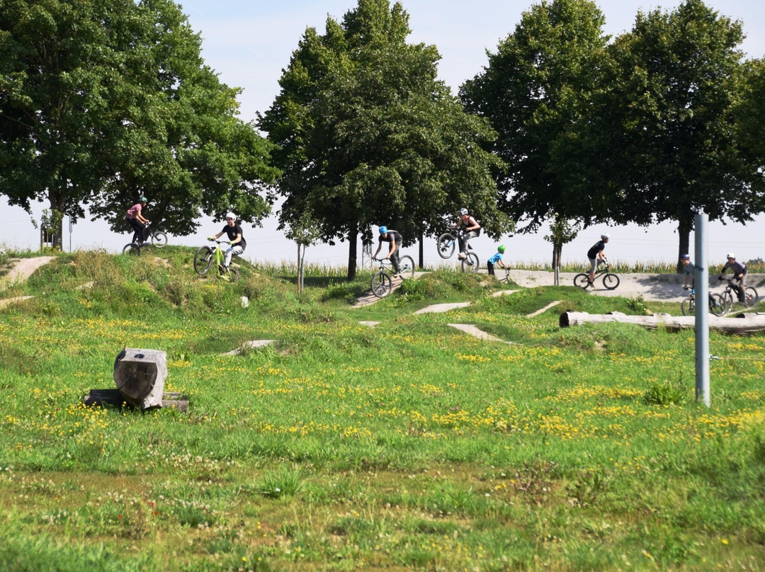 Gossler Bikepark Diespeck景点图片