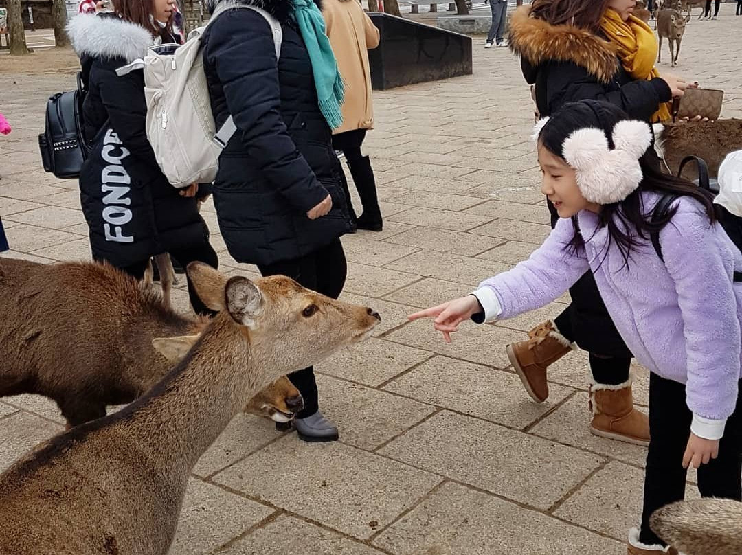 Nara Jidoyuen-市原市必去景点