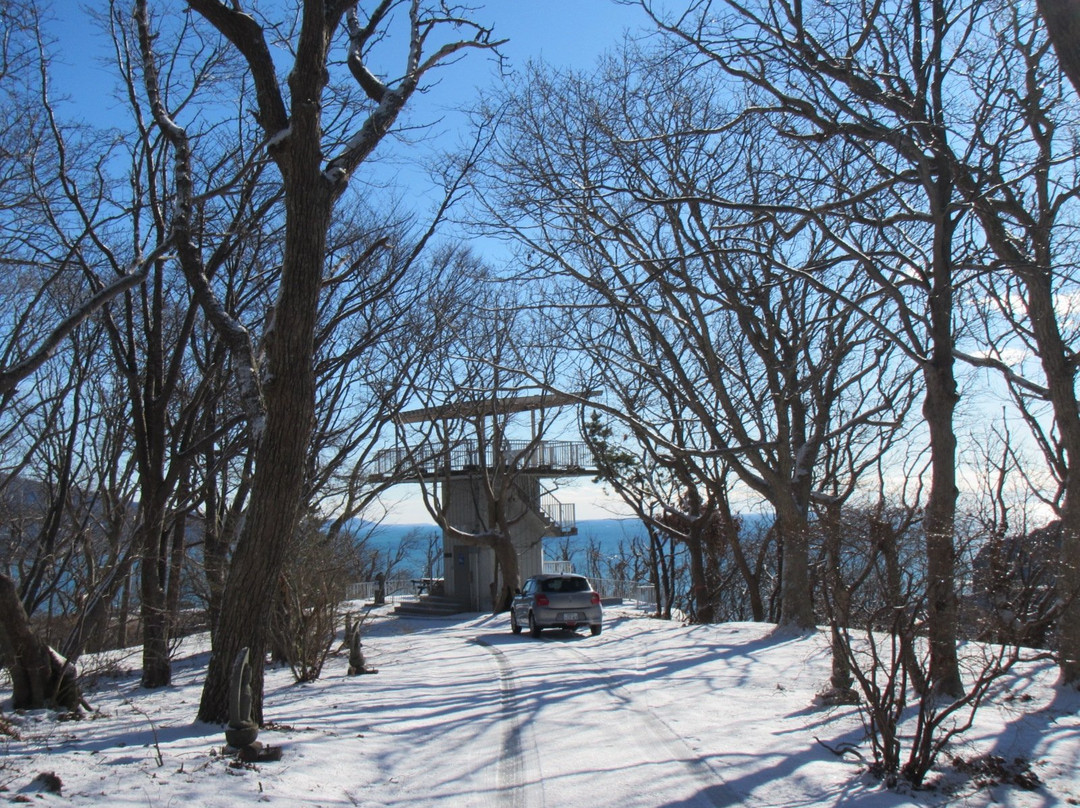 Kannonyama Park-样似町必去景点
