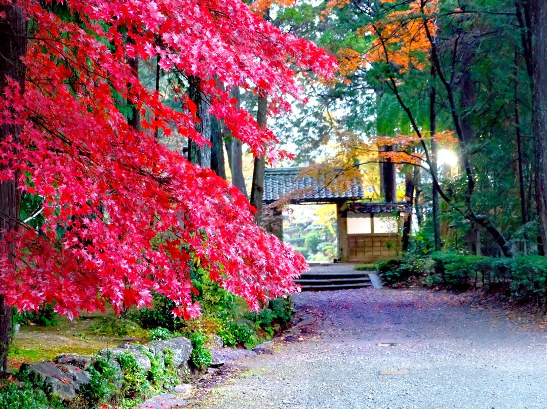 Ryotan-ji Temple-龟冈市必去景点