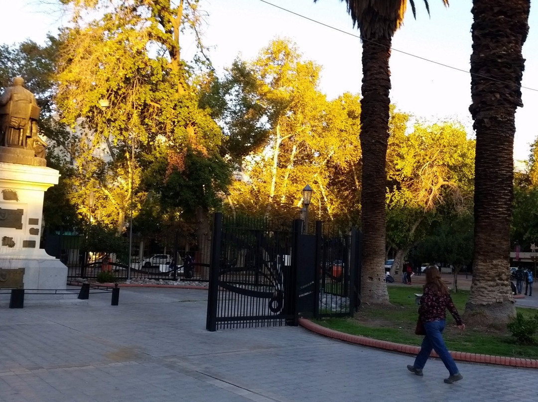 Plaza 25 de Mayo景点图片