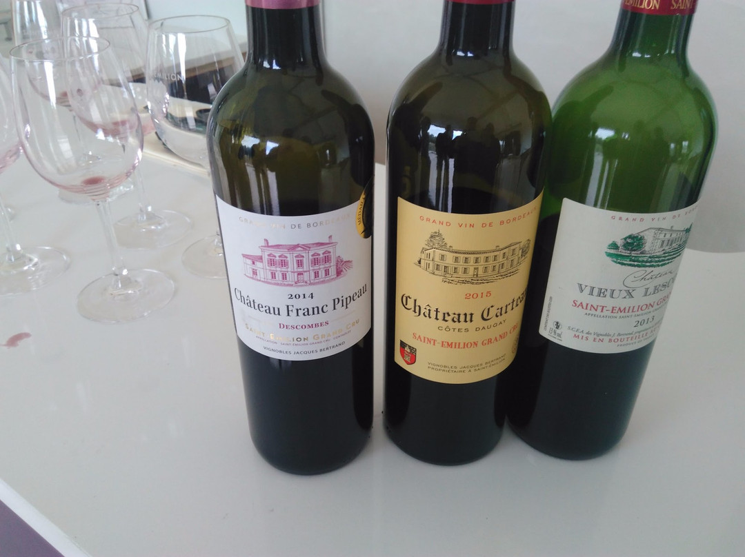Château Carteau Côtes Daugay景点图片