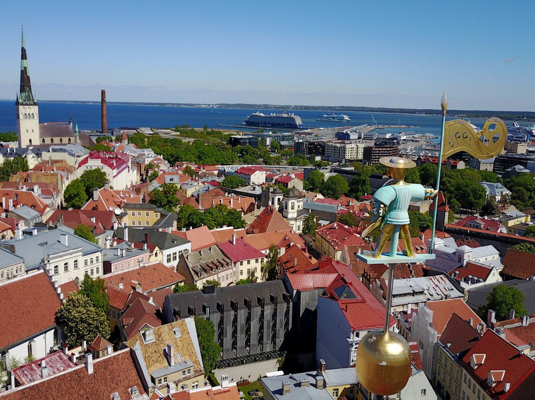 Estonia4u-塔林必去景点