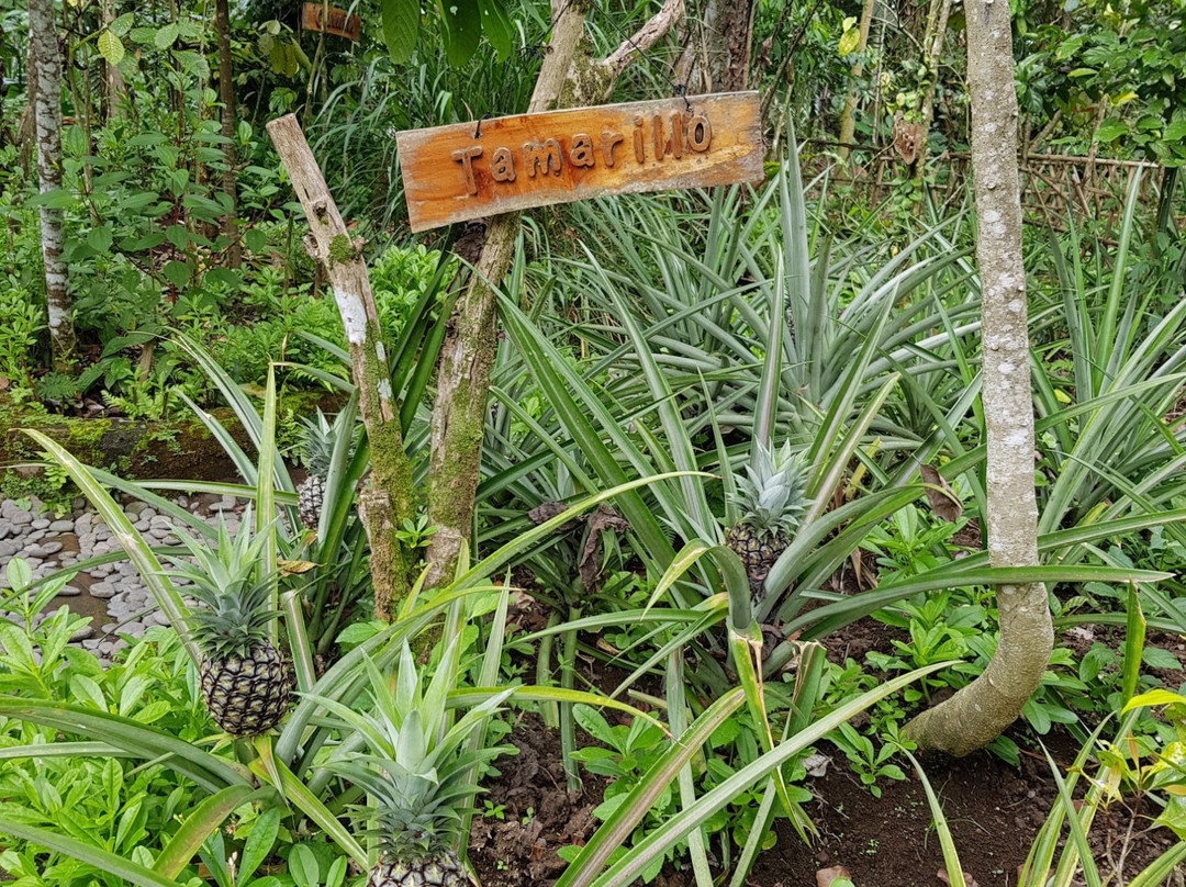 I Love BAS Agrotourisn-金塔马尼必去景点