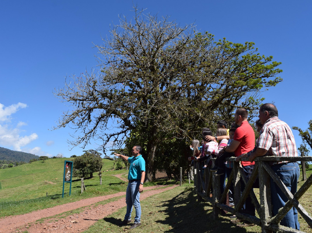 Organic Strawberry & Dairy Farm-圣何塞必去景点