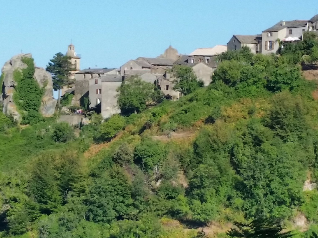 Venzolasca旅游攻略图片