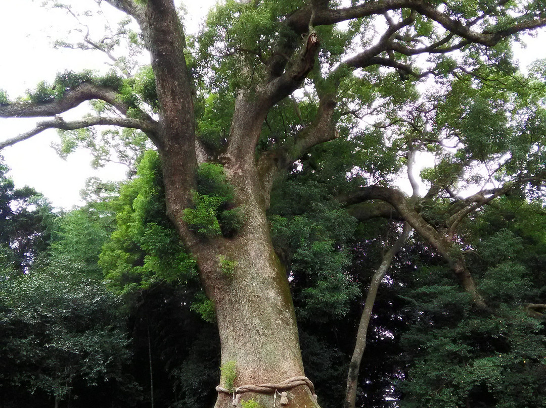 Mitsuoka Hachimangu-宗像市必去景点