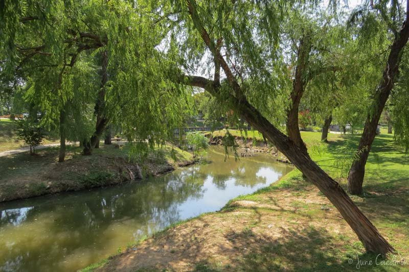 Shanley Park-格兰伯里必去景点