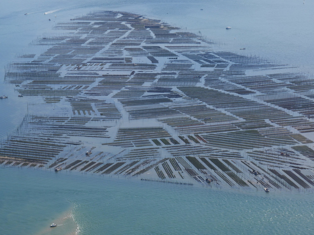 Aero-Club Bassin D'arcachon-阿卡雄必去景点
