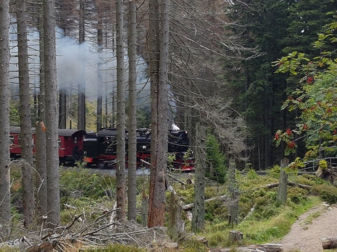 BSW - Kulturgruppe Harzquer- und Brockenbahn, Wernigerode-韦尼格罗德必去景点