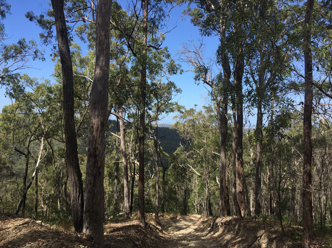 Nerang National Park景点图片