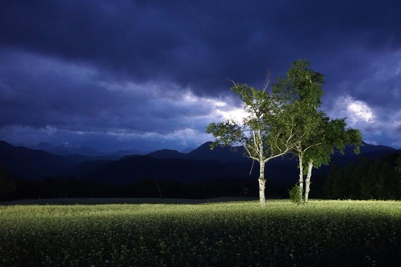 Takatsue Sobabatake-南会津町必去景点