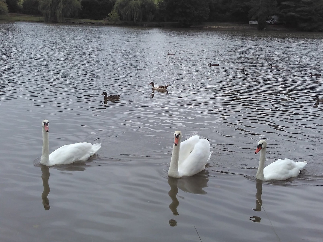 Camping Municipal du Lac