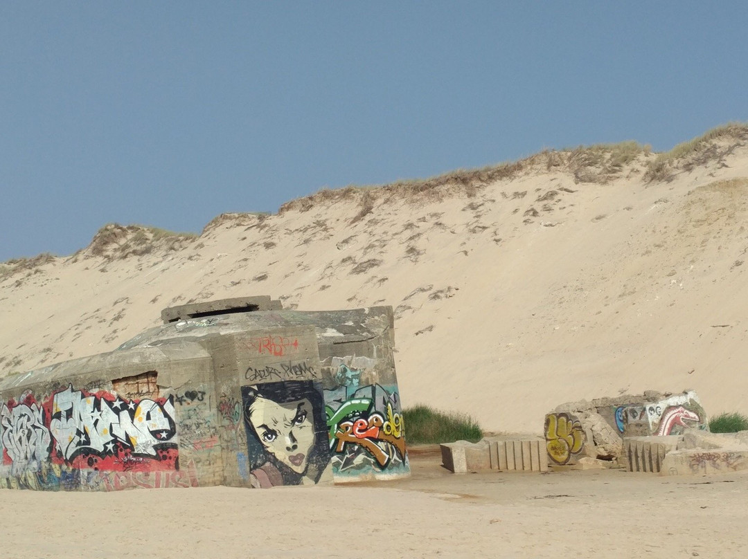 Plage du Pin Sec-Naujac-sur-Mer必去景点