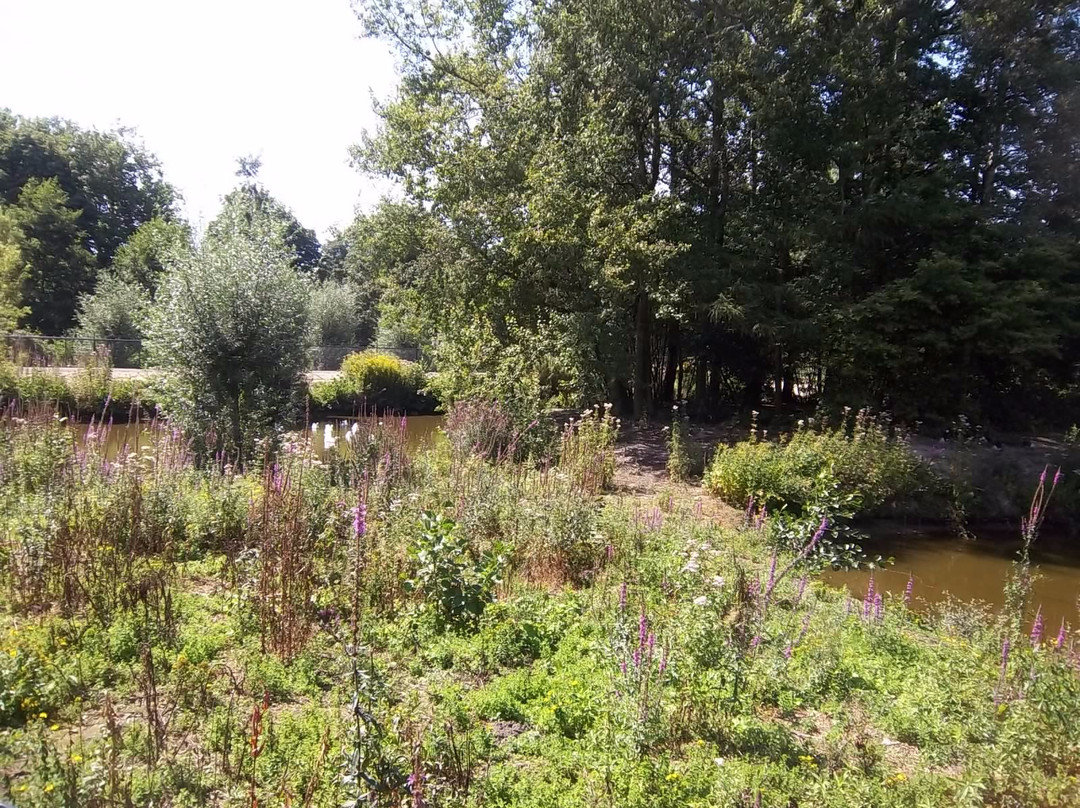 Kinderboerderij 't Weusthag景点图片