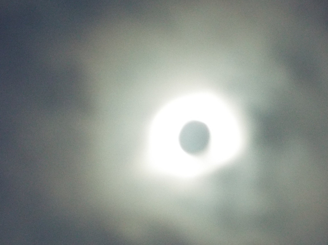 Walker Bluff Winery-Carterville必去景点