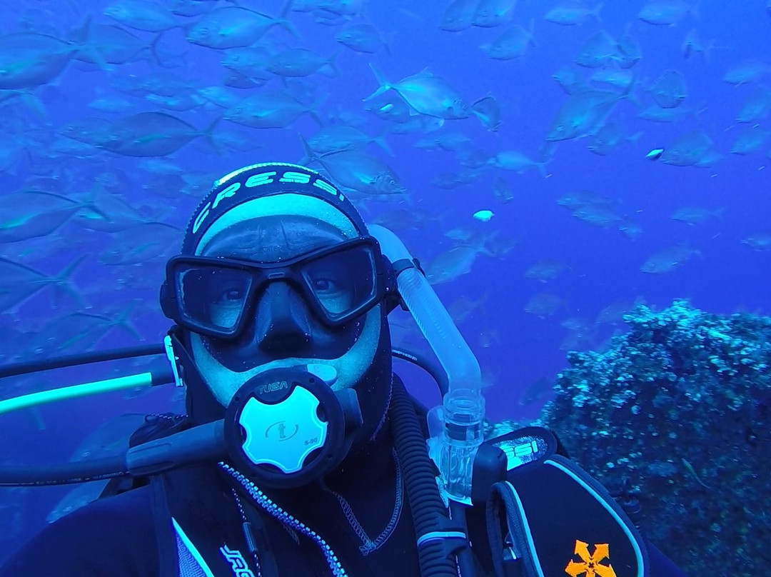 Flores Dive Center-Faja Grande必去景点
