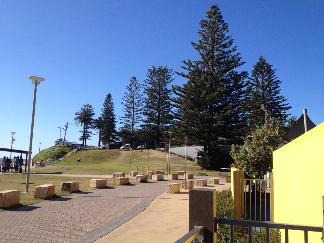 Collaroy Beach Playground景点图片