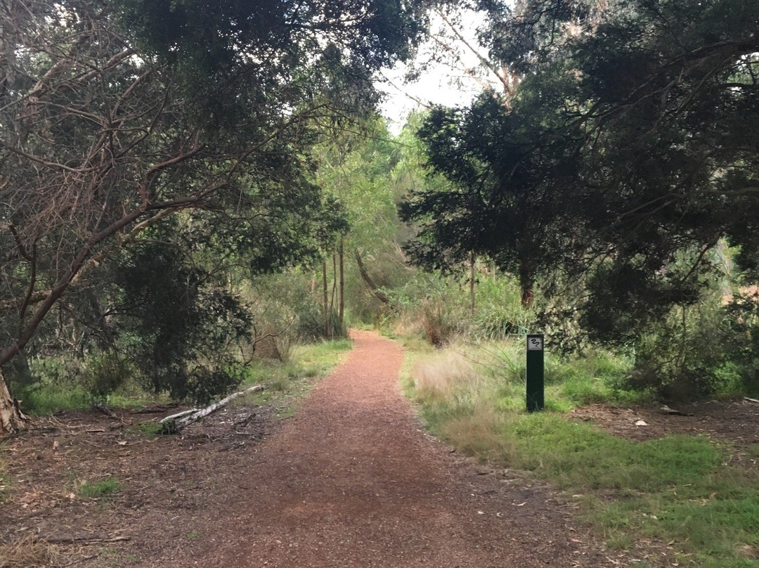 Antonio Park-Mitcham必去景点