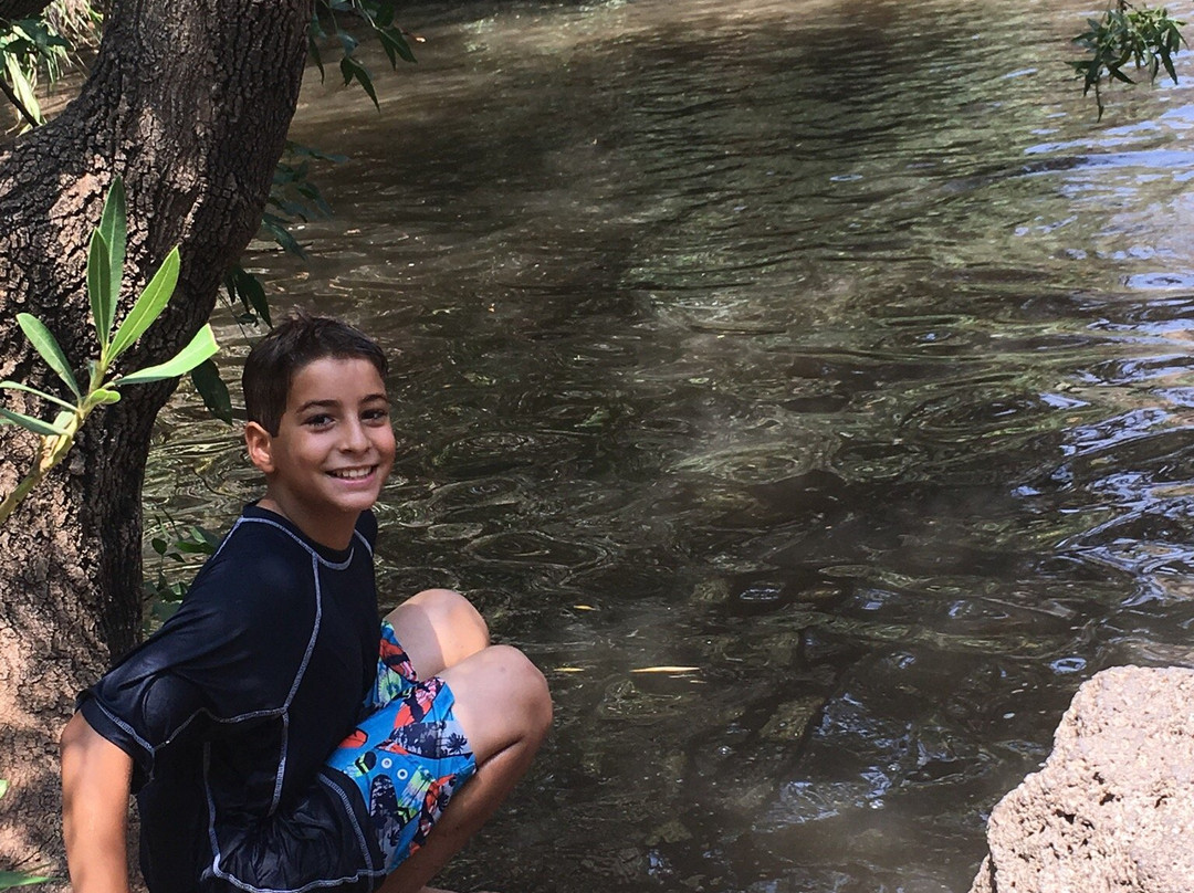 Meshushim Stream Nature Reserve-Had Nes必去景点